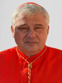 kard. Konrad Krajewski, arcybiskup metropolita łódzki kard. Konrad Krajewski, arcybiskup metropolita łódzki